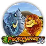 Photo Safari